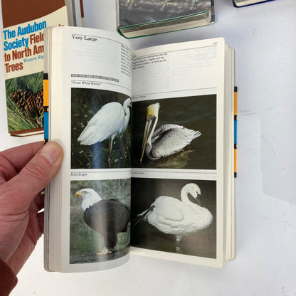Lot 6 Vintage Audubon Society Field Guides Trees, Insects, Sky, Reptiles, Birds