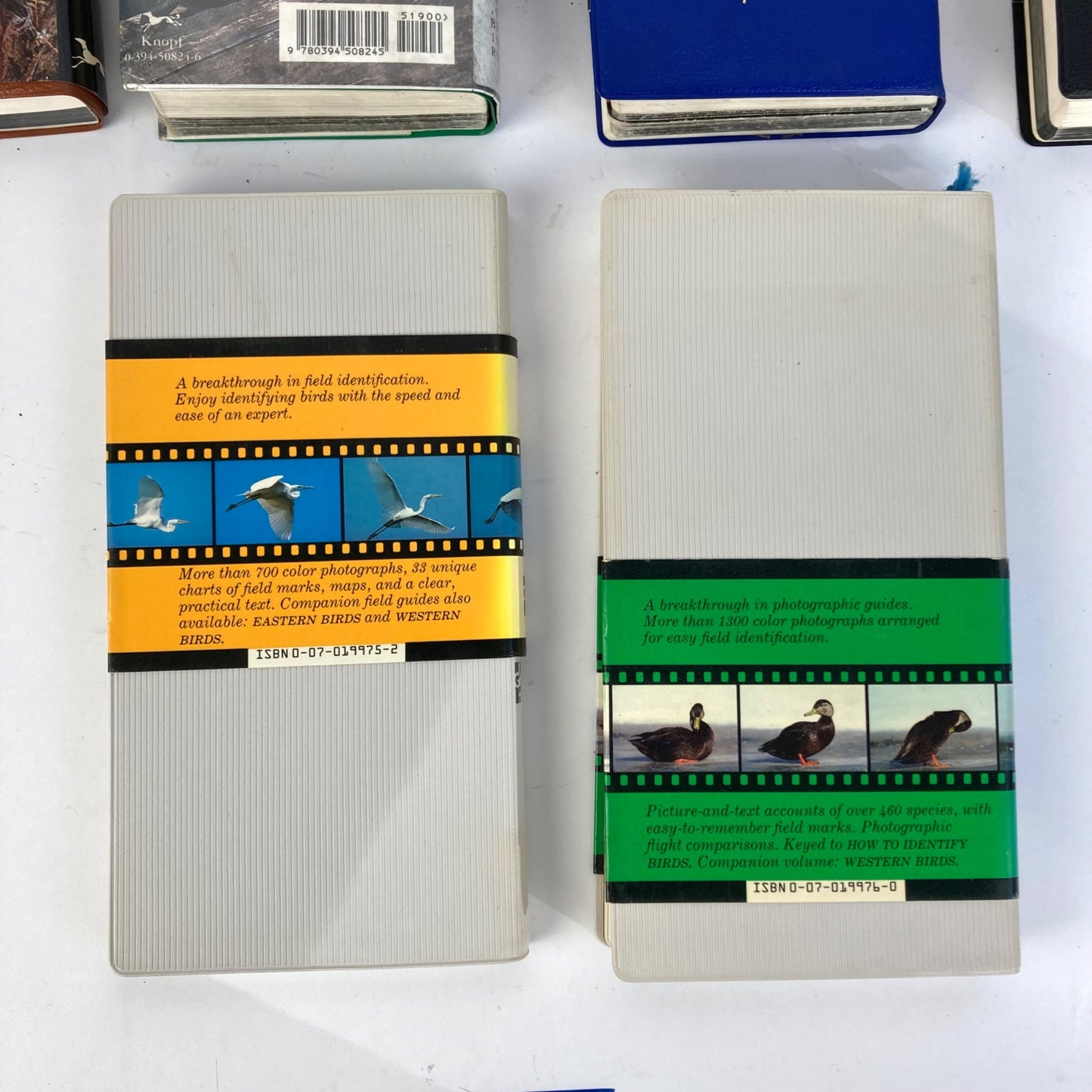 Lot 6 Vintage Audubon Society Field Guides Trees, Insects, Sky, Reptiles, Birds