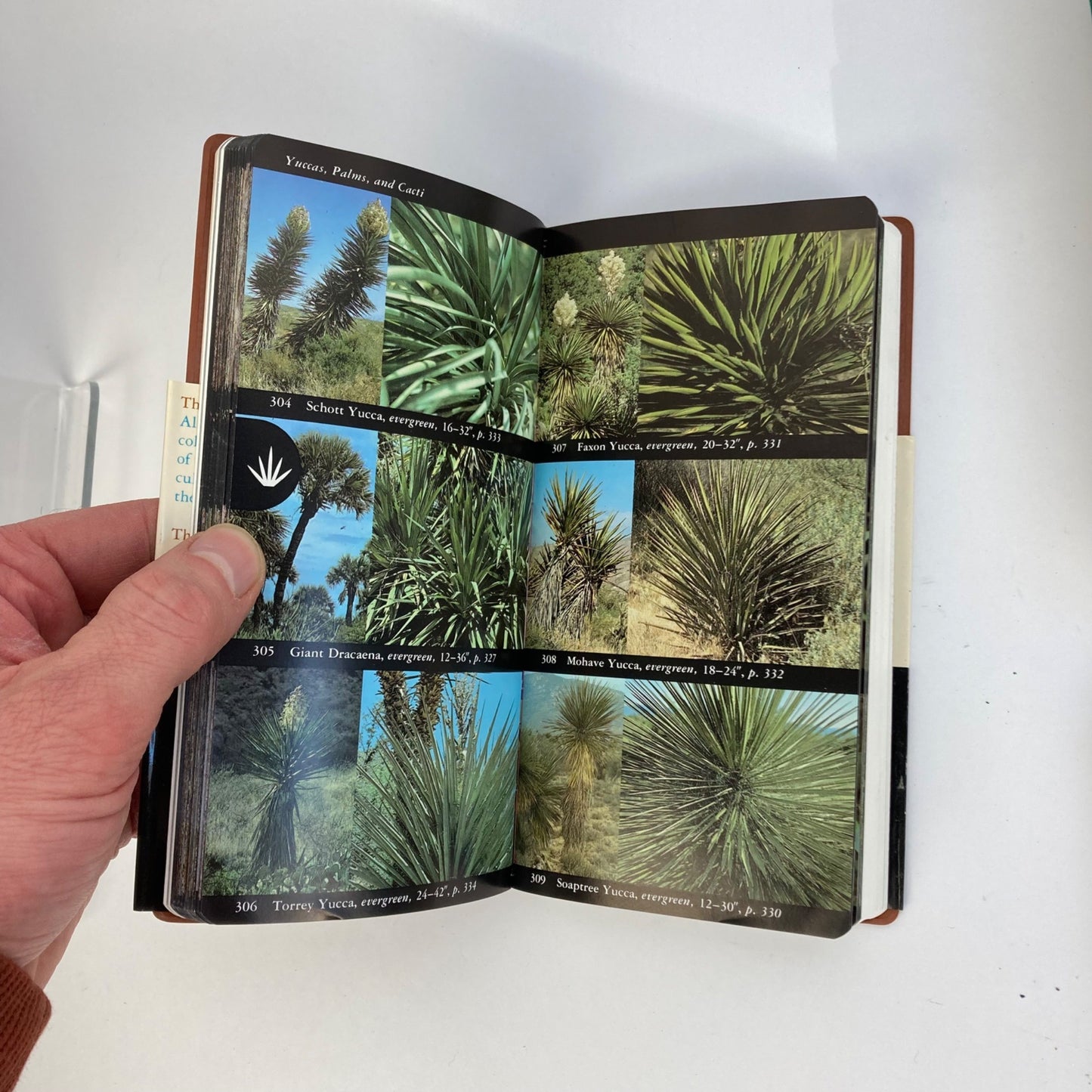 Lot 6 Vintage Audubon Society Field Guides Trees, Insects, Sky, Reptiles, Birds