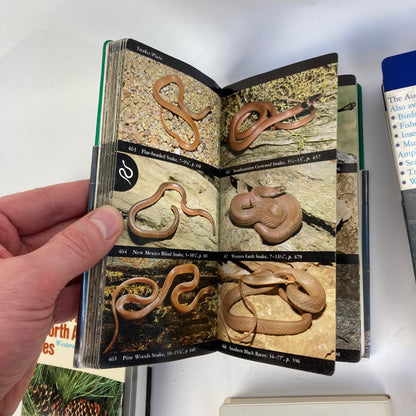 Lot 6 Vintage Audubon Society Field Guides Trees, Insects, Sky, Reptiles, Birds