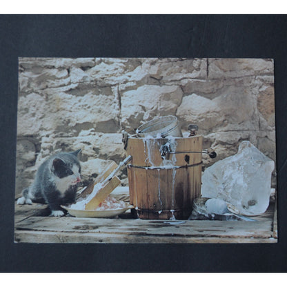 Jane's Kitten by Art Gore Print 7 x 5" Vintage