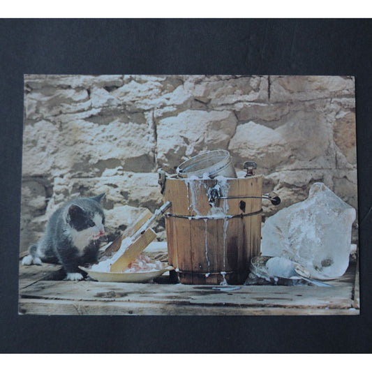 Jane's Kitten by Art Gore Print 7 x 5" Vintage