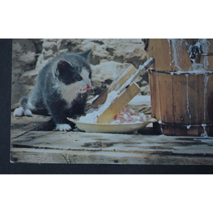 Jane's Kitten by Art Gore Print 7 x 5" Vintage