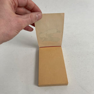 E-reader E Tablet In Uno: Magic Note Pad XP-Pen Alla Prova - Foto 11