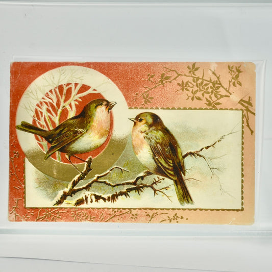 Lion Coffee Birds Toledo Ohio Victorian Trading Card Antique