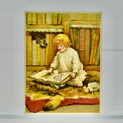 Dilworth's Coffee Victorian Trading Card Antique Child with Books