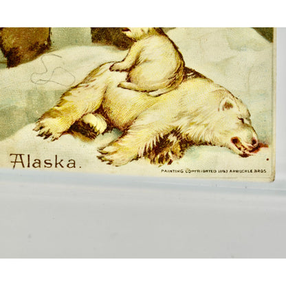 Antique Arbuckle Bros. Coffee Alaska Victorian Trade Card Polar Bears