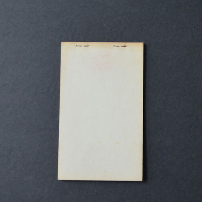 Minnegasco Indian Girl Memo Pad Minnesota Vintage 1959