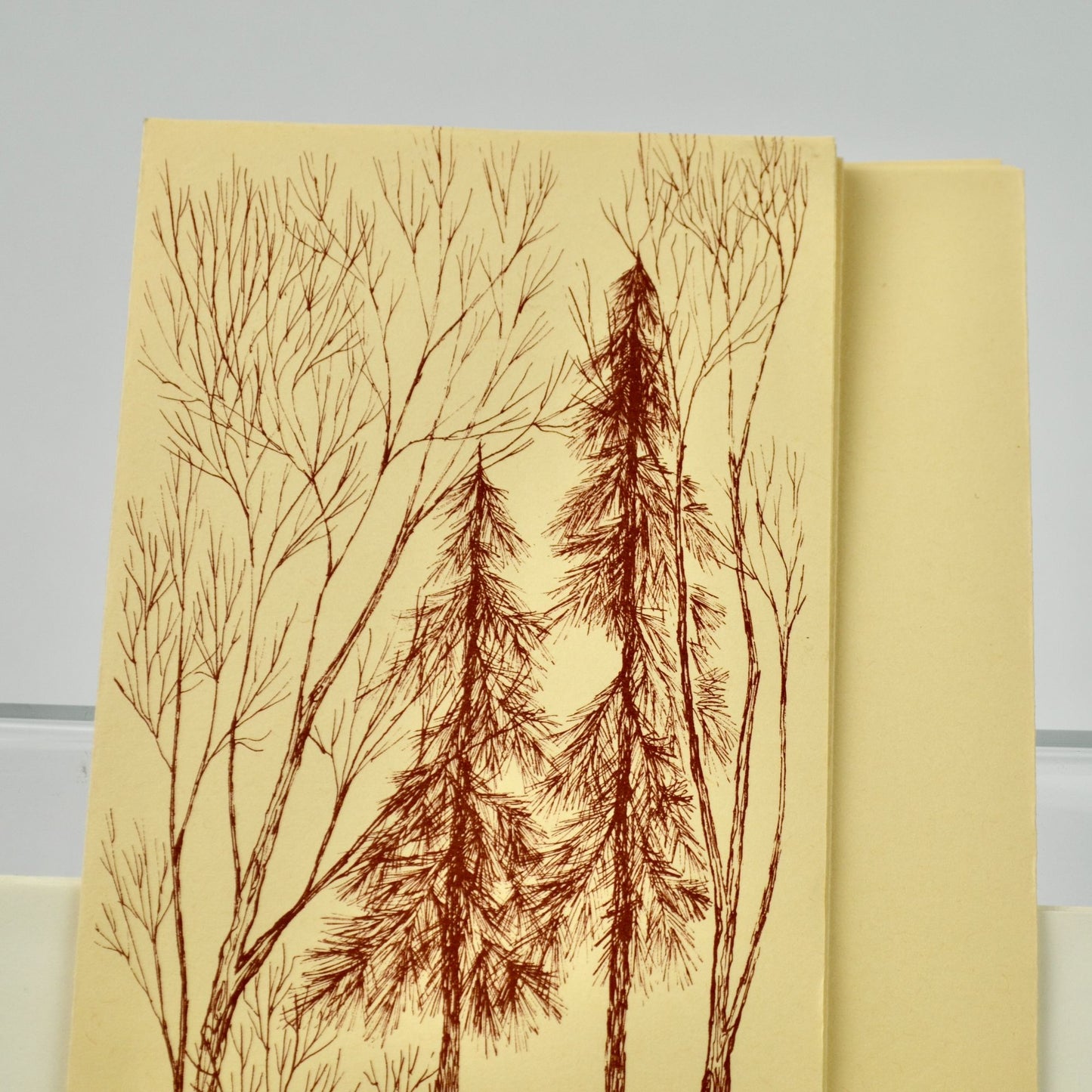 1971 Chris Walton Notecards Unused Set of 10 READ