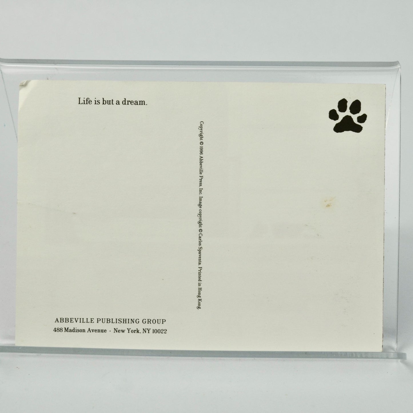 1996 Abbeville Cat Postcard Tuxedo Cat on Ledge