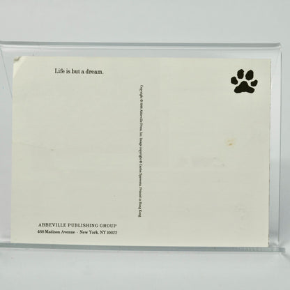 1996 Abbeville Cat Postcard Tuxedo Cat on Ledge