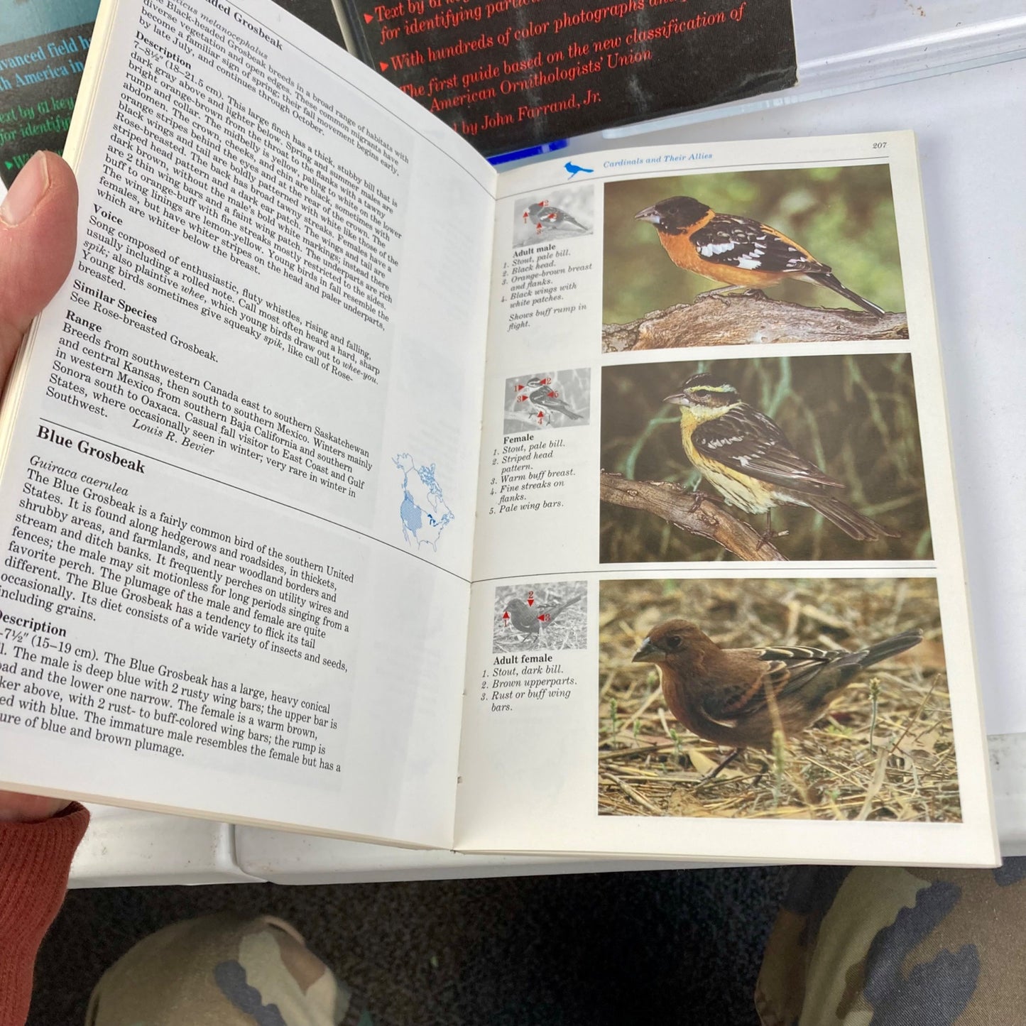 Vintage "The Audubon Society Master Guide to Birding" 3-Volume Set