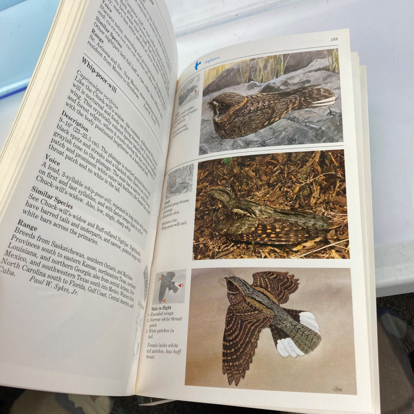 Vintage "The Audubon Society Master Guide to Birding" 3-Volume Set