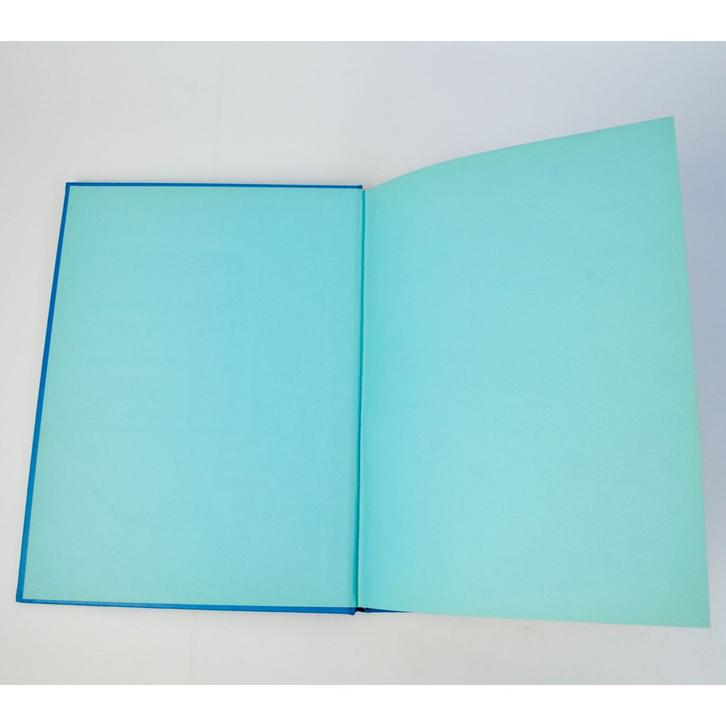 Vintage 1970 Albert Lea MN Yearbook Tigers '70 Minnesota Year Book