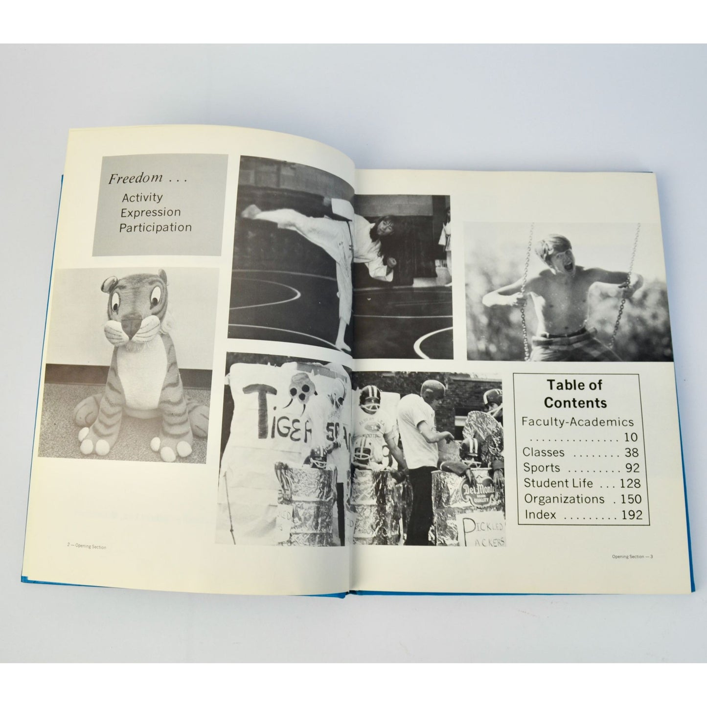 Vintage 1970 Albert Lea MN Yearbook Tigers '70 Minnesota Year Book