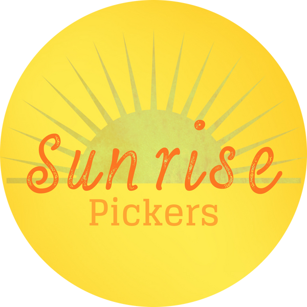 Sunrise Pickers Logo Yellow Background Sunshine