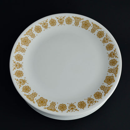 Corelle Butterfly Gold Dinner Plates 10.25" Diameter Set Lot of 19