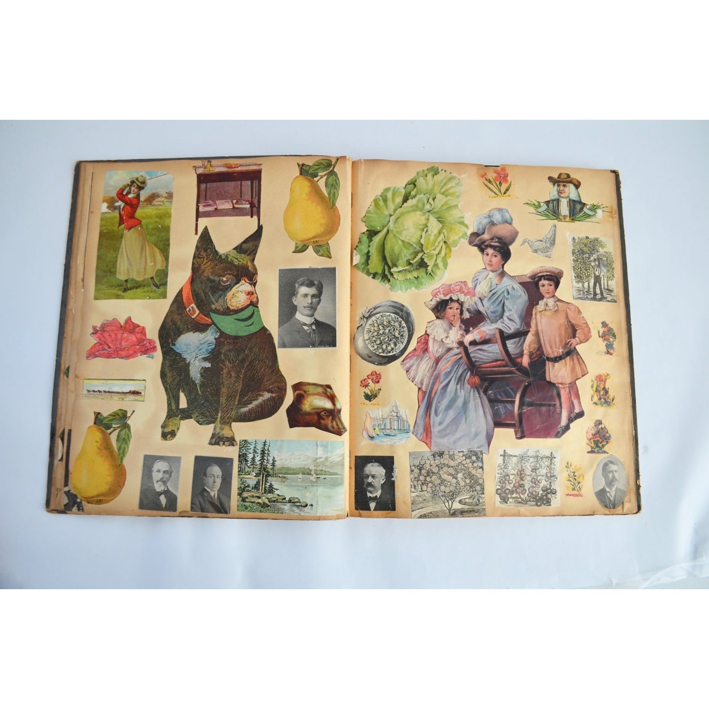 Early 1900s Antique Scrapbook Album 40 Full Pages Victorian