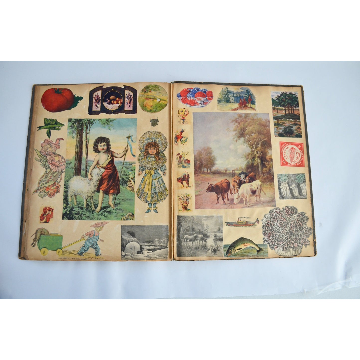 Early 1900s Antique Scrapbook Album 40 Full Pages Victorian