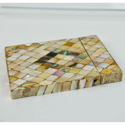 Antique Mother of Pearl Card Case Holder