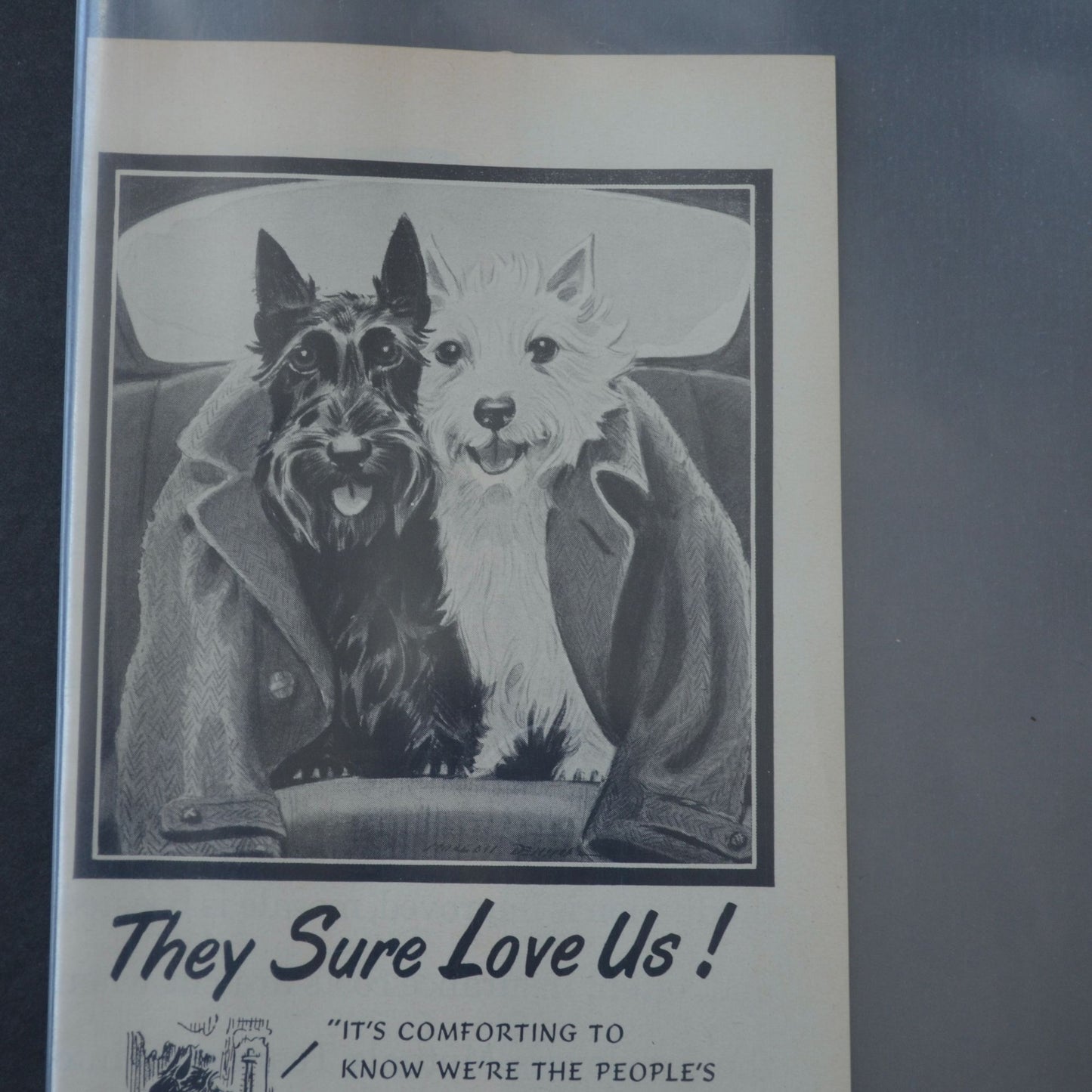 Black & White Blended Scotch Whisky Magazine Advertisement 1952 Scottie Dogs