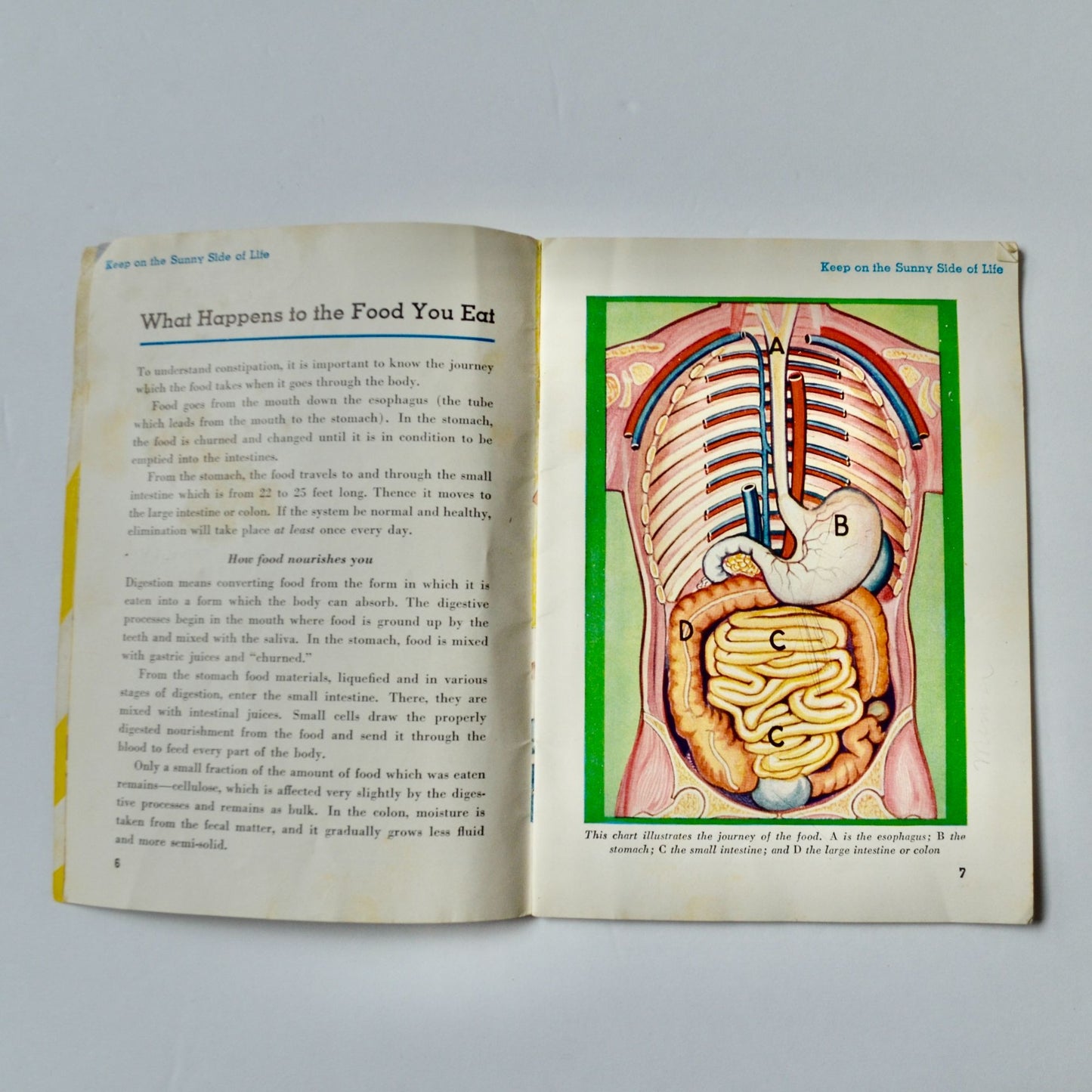 1933 Kellogg's Keep on the Sunny Side of Life Booklet Vintage