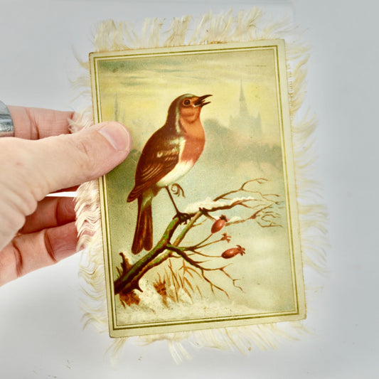 Antique Double Sided Bird Silk Fringe Victorian Trading Card Trade