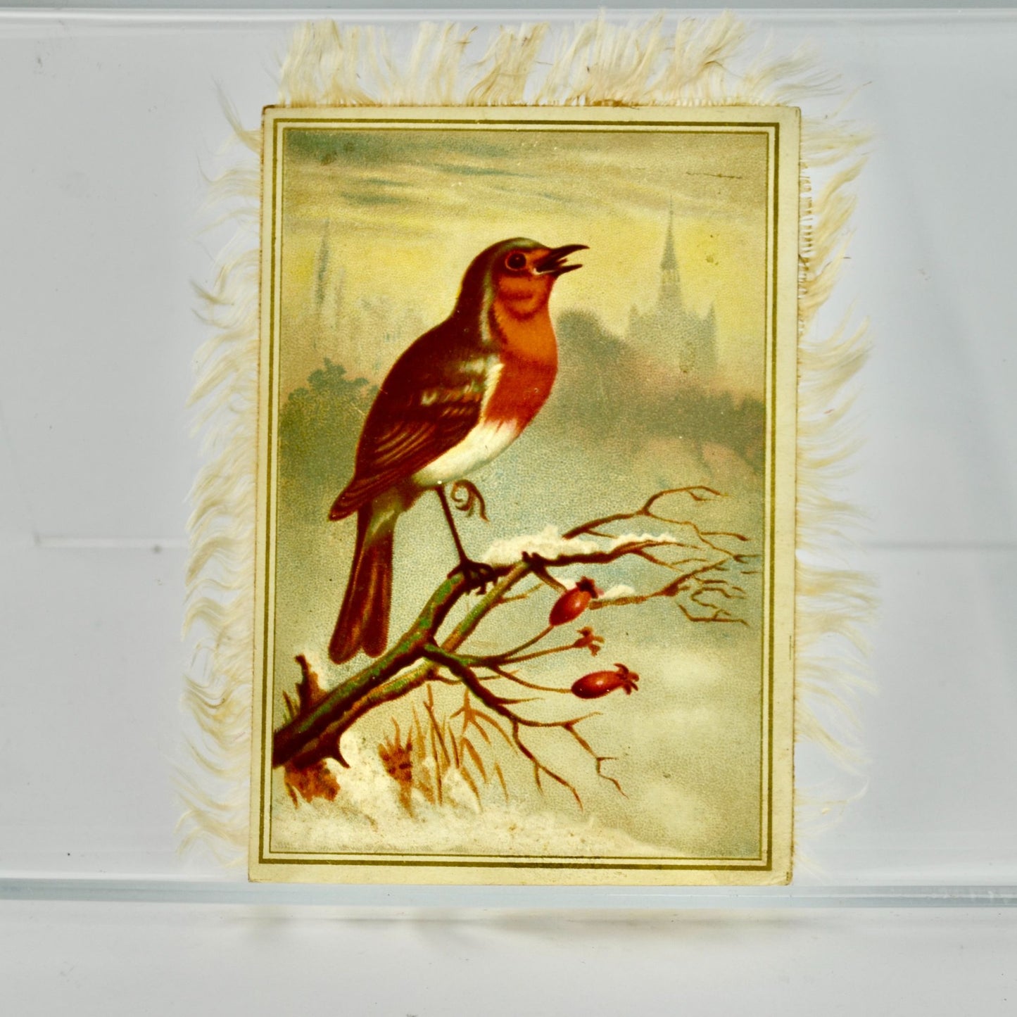 Antique Double Sided Bird Silk Fringe Victorian Trading Card Trade