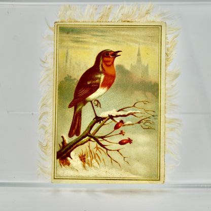 Antique Double Sided Bird Silk Fringe Victorian Trading Card Trade