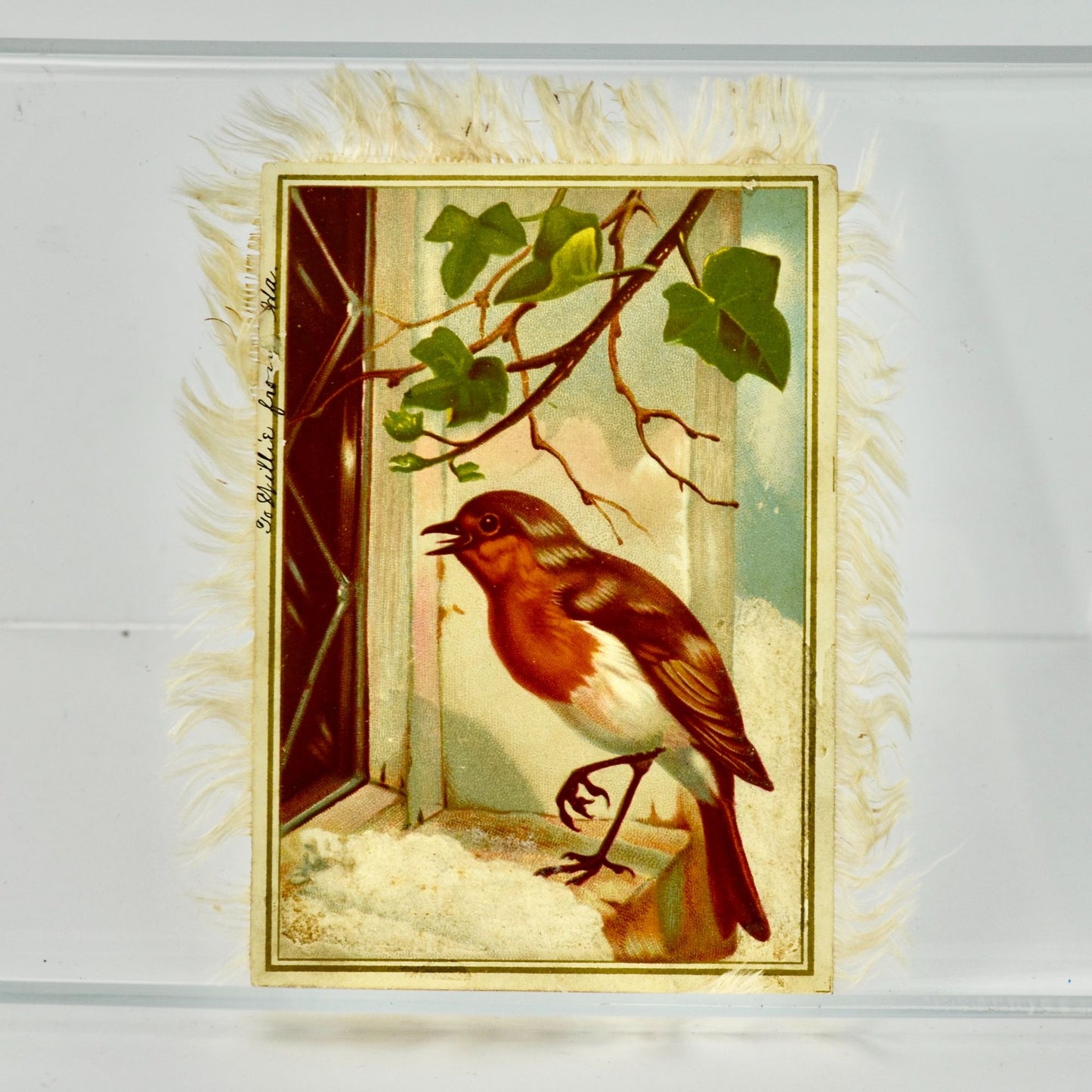 Antique Double Sided Bird Silk Fringe Victorian Trading Card Trade