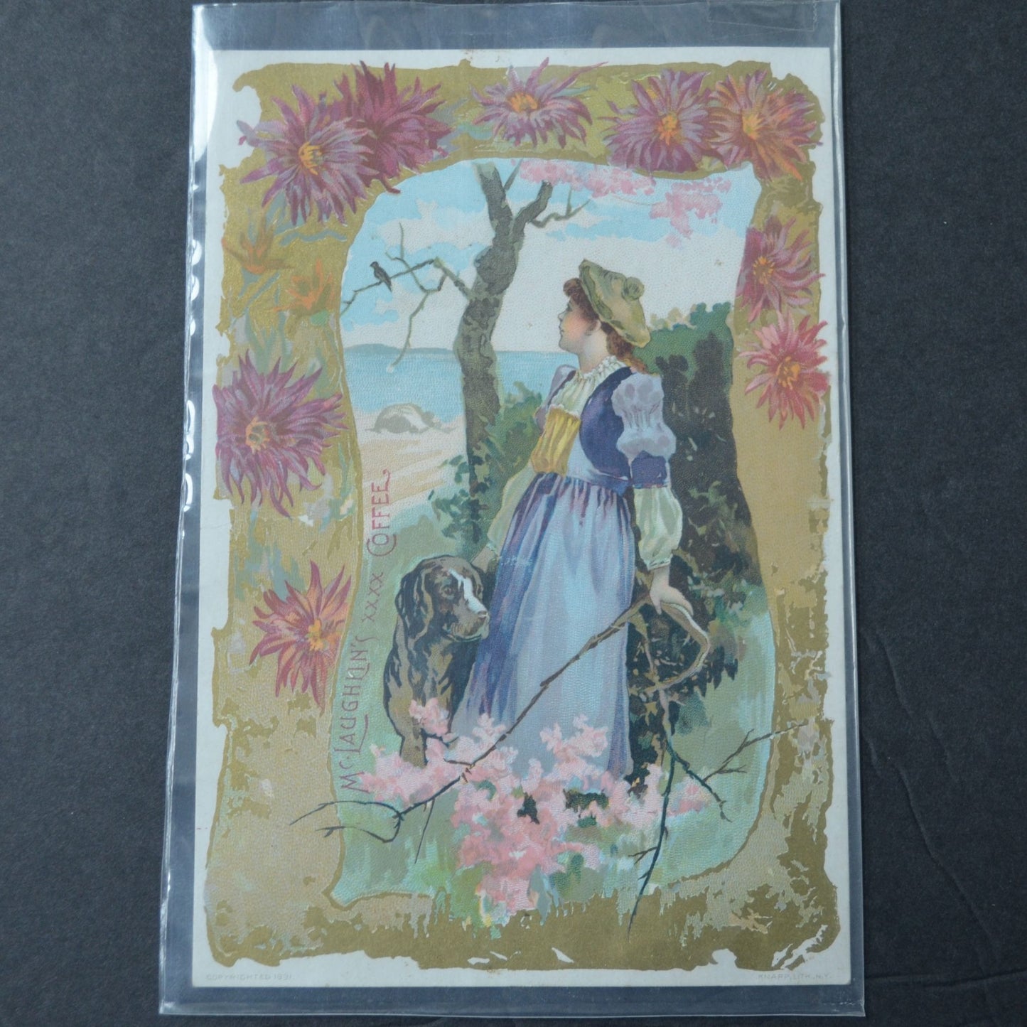 McLaughlin's XXXX Coffee Victorian Trading Card LARGE 1891 Girl and Dog