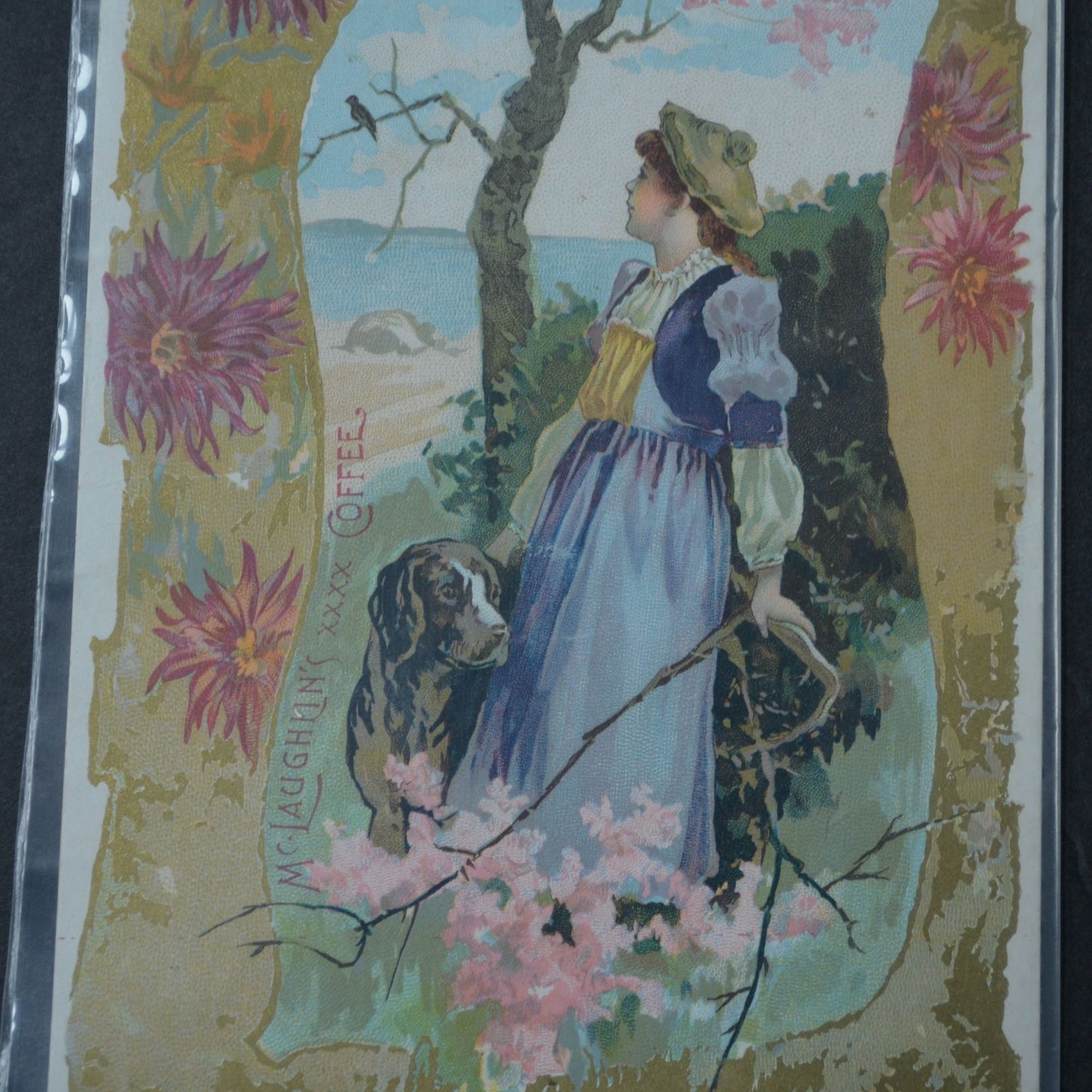 McLaughlin's XXXX Coffee Victorian Trading Card LARGE 1891 Girl and Dog