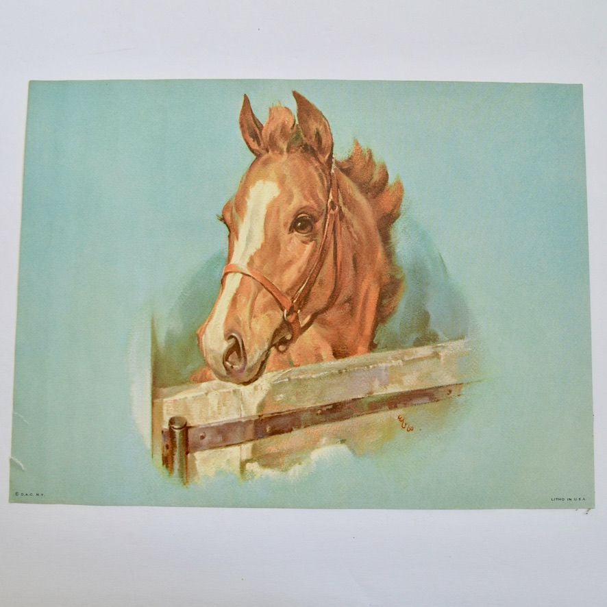 Donald Art Company Litho Print Horse 12 x 9"