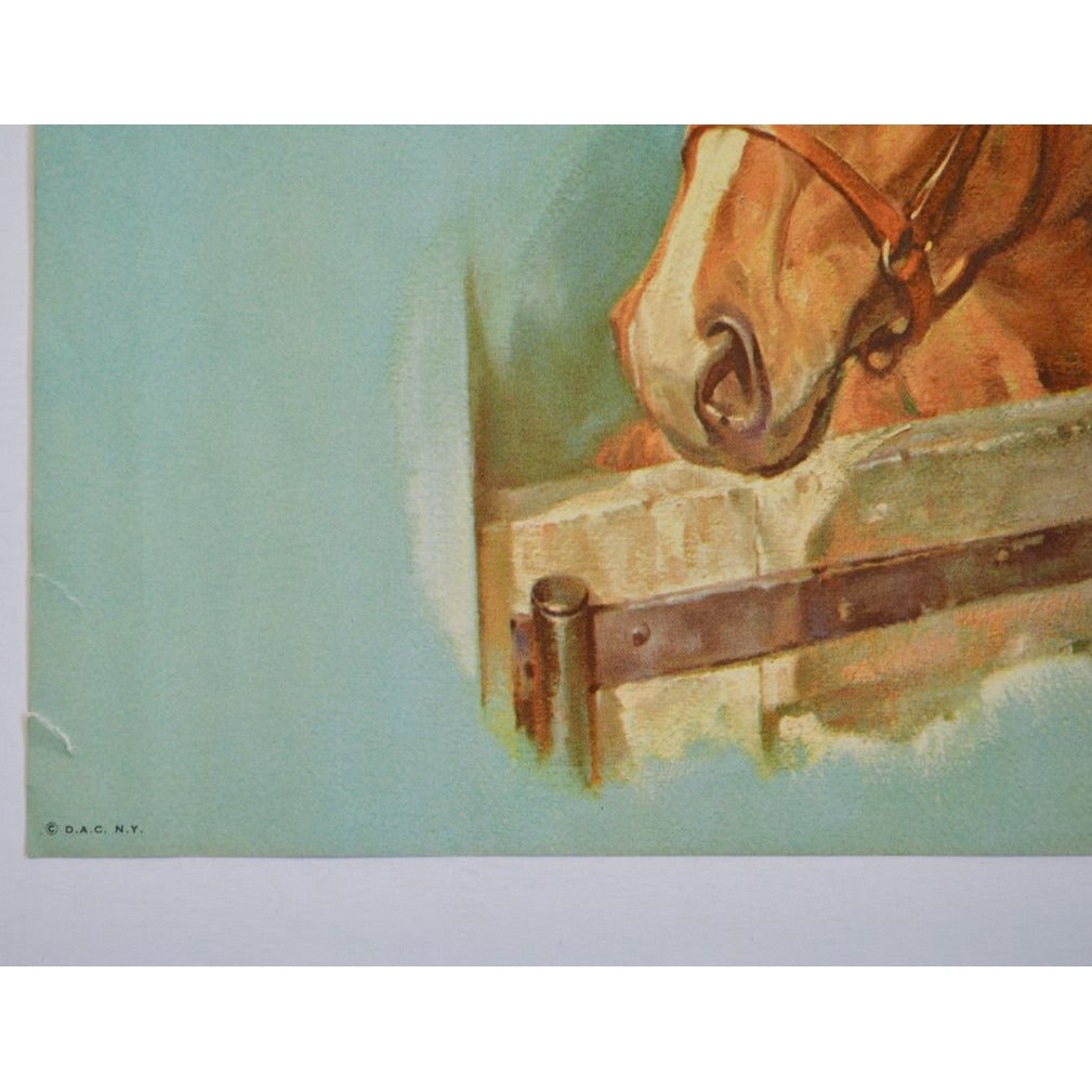 Donald Art Company Litho Print Horse 12 x 9"