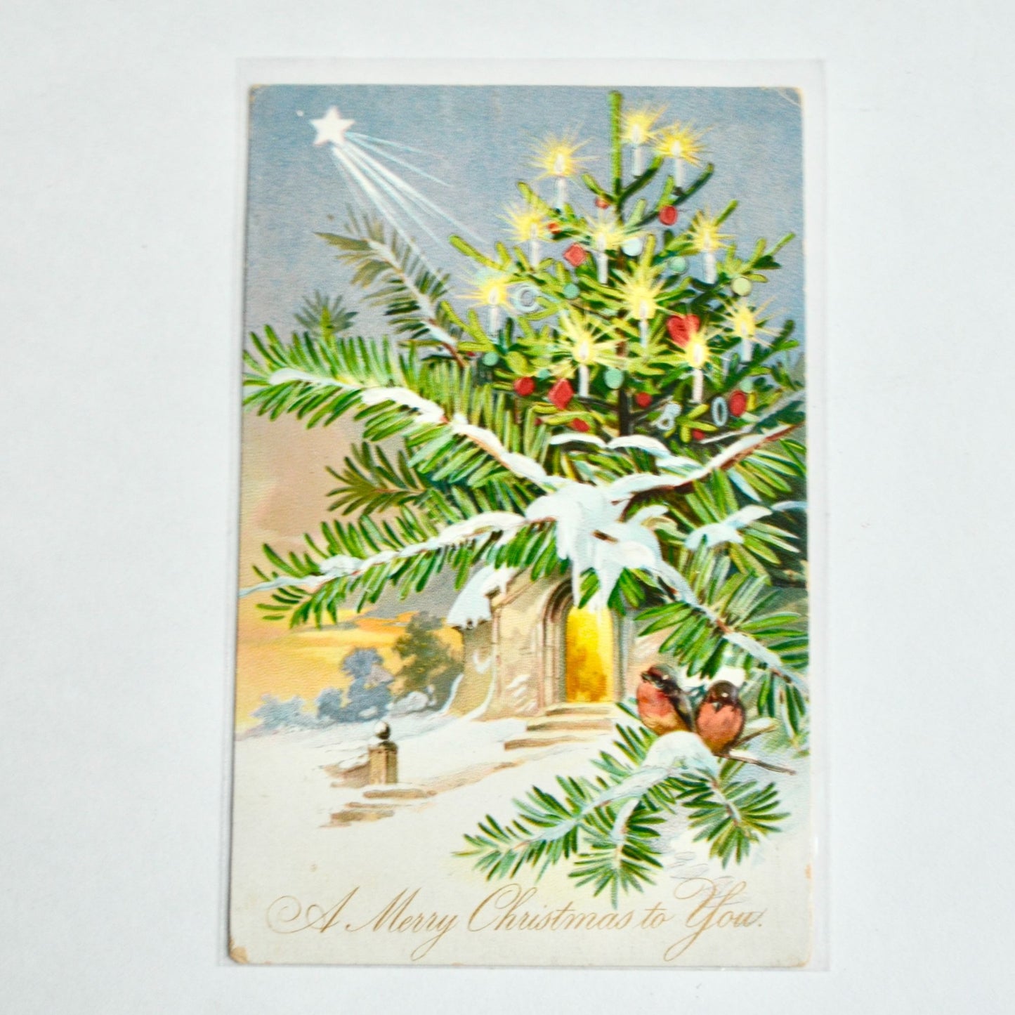 1906 Antique A Merry Christmas to You Postcard