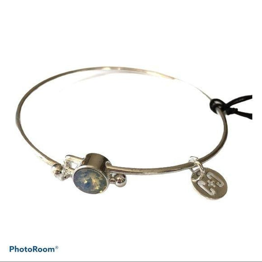 Coco + Carmen Silver Adjustable Bangle Bracelet Blue