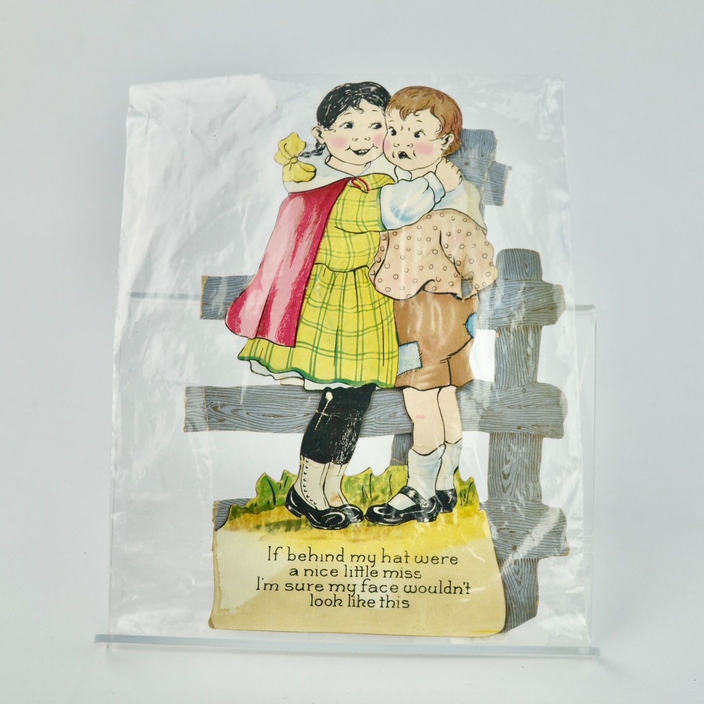 Vintage Antique Postcard Behind My Hat Fence