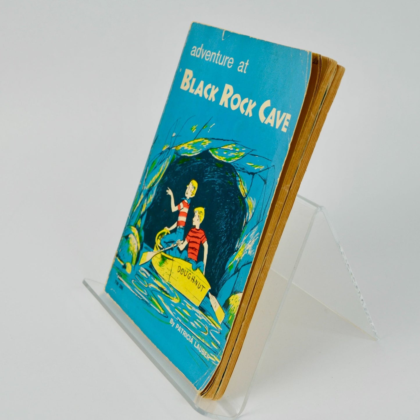 The Secret Valley Adventure at Black Rock Cave Books Lot of 2 Vintage