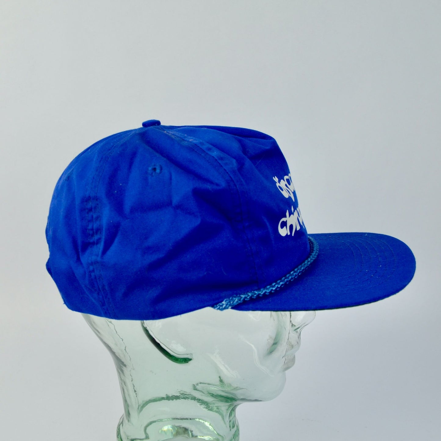 Vintage Discover Chiropractic Blue Hat Snapback