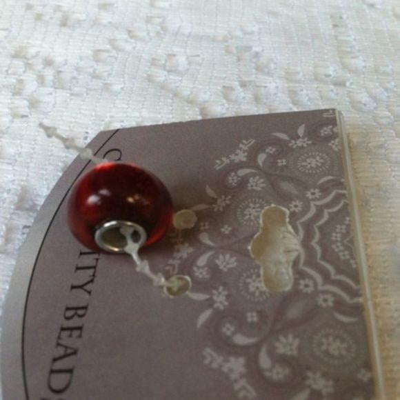 Creativity Beads Sterling Silver Red Slider Charm