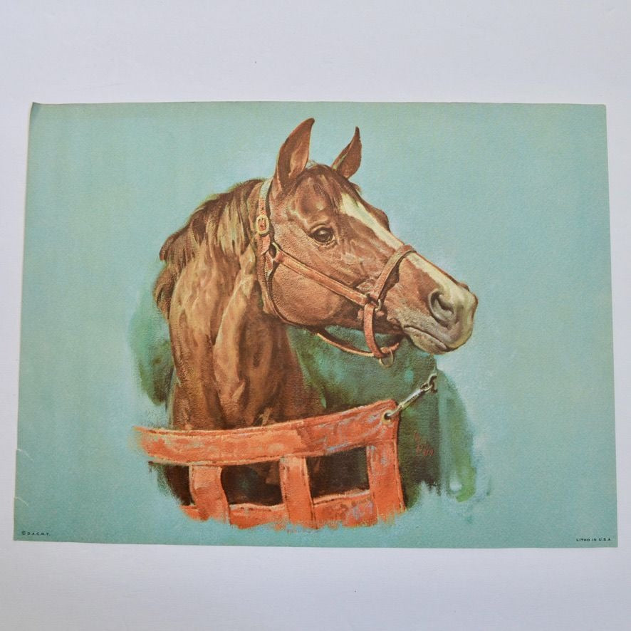 Donald Art Company Litho Print Horse 12 x 9"