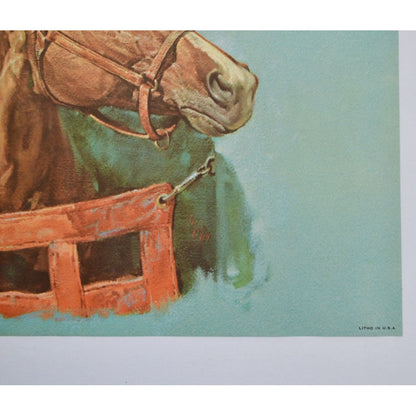 Donald Art Company Litho Print Horse 12 x 9"