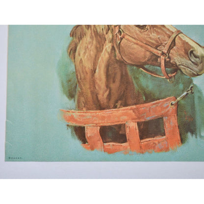Donald Art Company Litho Print Horse 12 x 9"