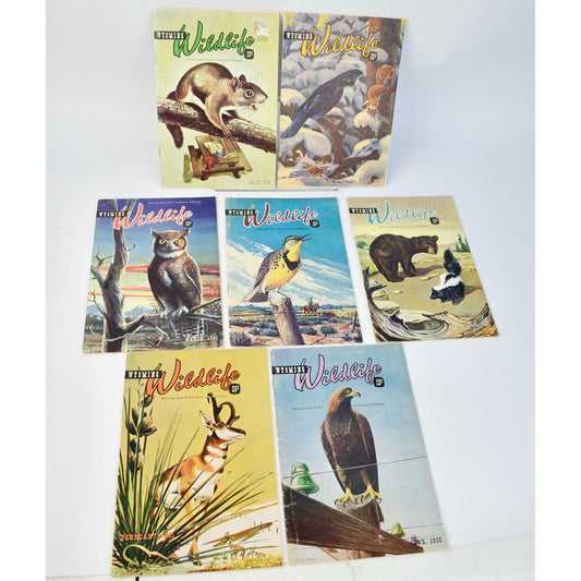 Lot 7 Vintage 1960's Wyoming Wildlife Magazines 1960 & 1961 Game & Fish
