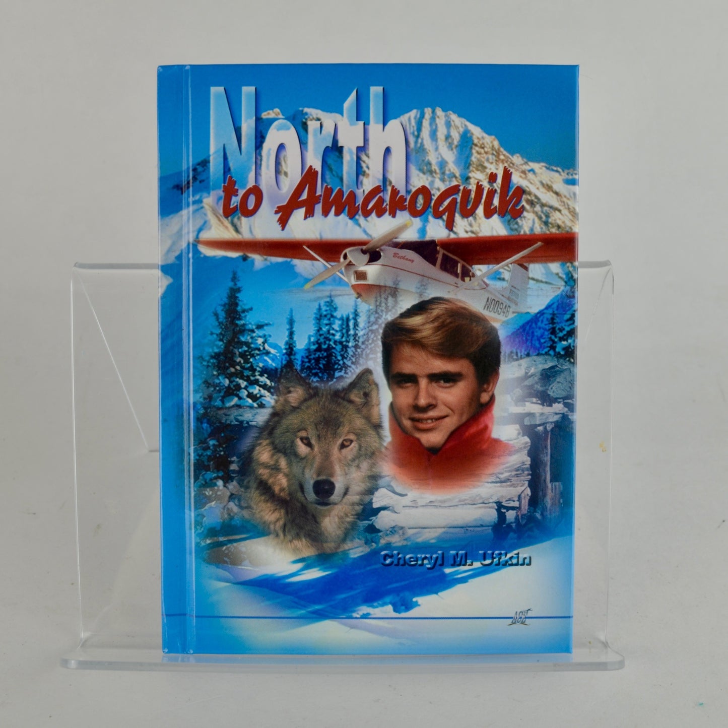 North to Amaroquik by Cheryl M. Ufkin ACE Homeschool Book