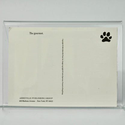 1996 Abbeville Cat Postcard Cat in Window