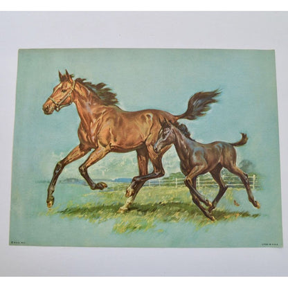Donald Art Company Litho Print Horse 12 x 9"