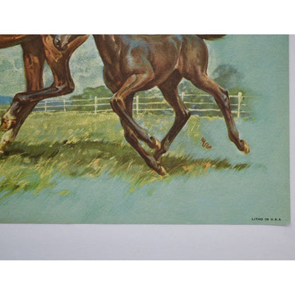 Donald Art Company Litho Print Horse 12 x 9"
