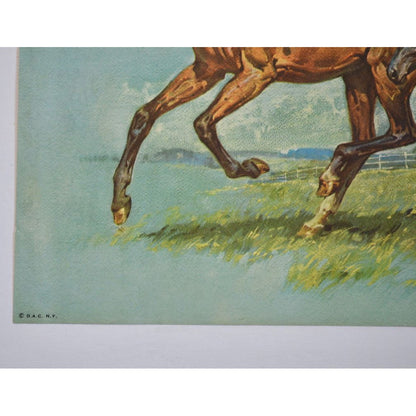 Donald Art Company Litho Print Horse 12 x 9"