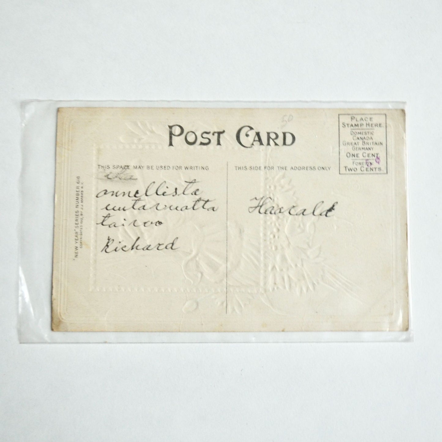 Antique Early 1900s Postcard A Happy New Year